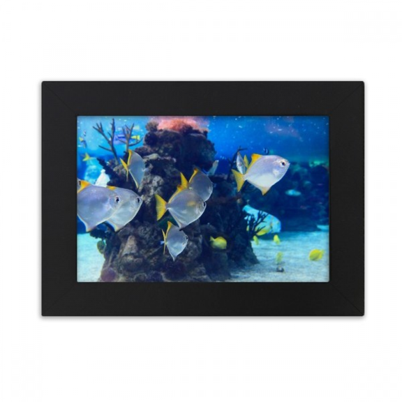 Ocean Fish Science Nature Picture Desktop Photo Frame Ornaments Picture Art Painting