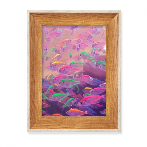 Ocean Fish Science Nature Picture Desktop Wooden Photo Frame Display Picture Art Painting Multiple Sets