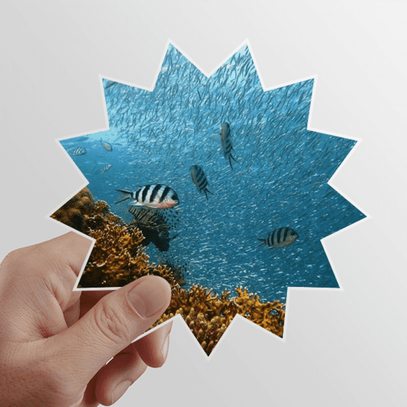 Ocean Fish Science Nature Picture Sun Vinyl Sticker Luggage Graffiti Flower Decal