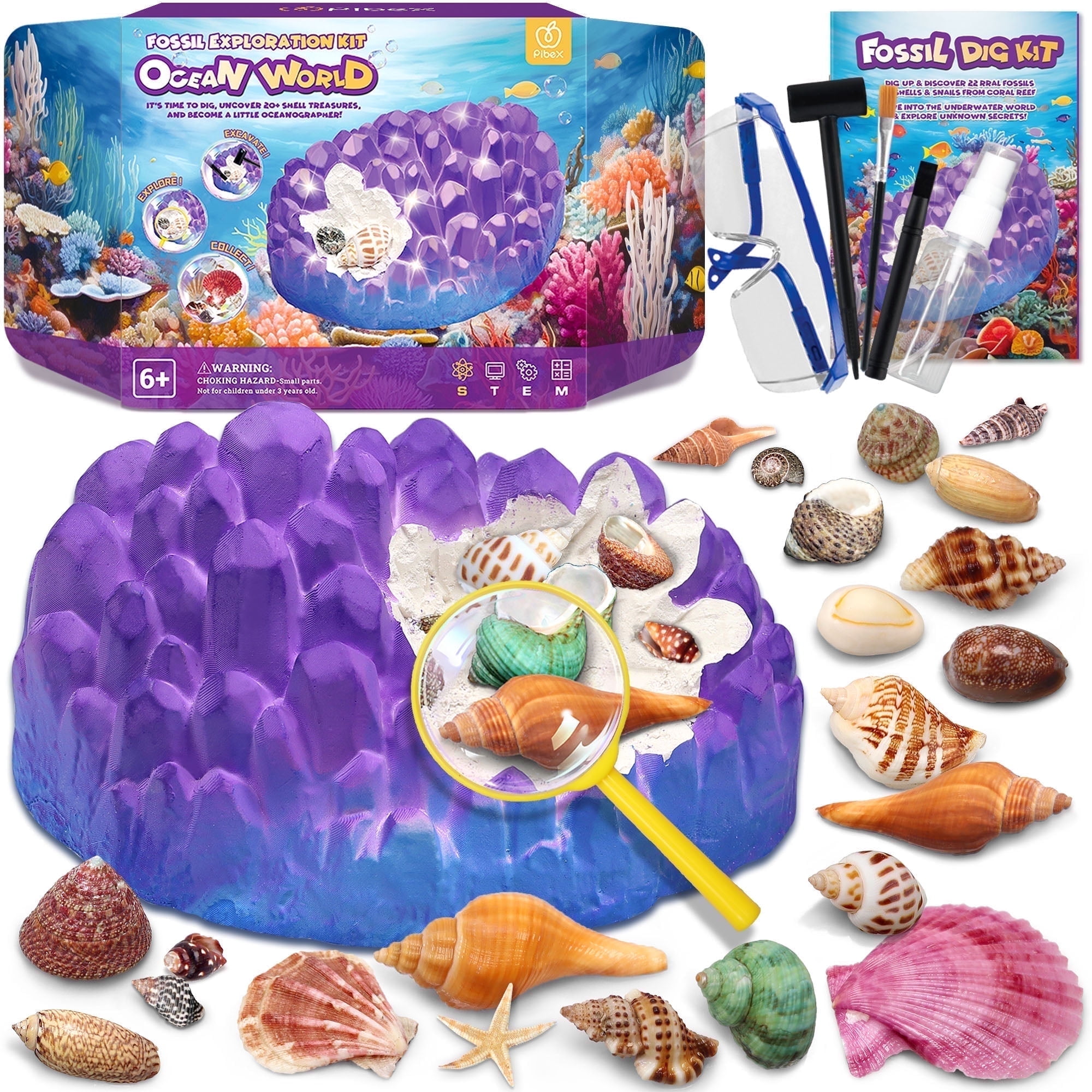 Pibex Ocean Fossil Dig Kit, Dig up 20+ Real Shells & Seasnails, STEM Educational Activity Set Toy for Kids