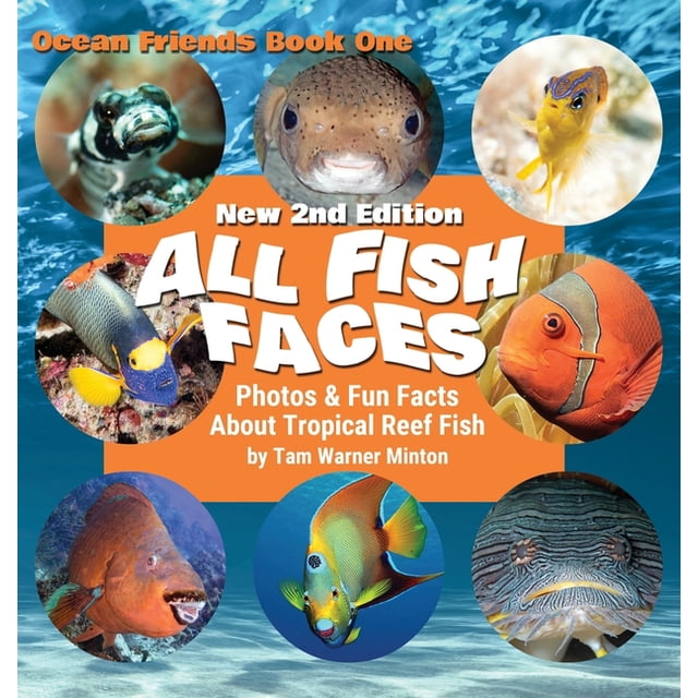 Ocean Friends: Reef Fish | Spiritual books for gift shops - Walmart ...