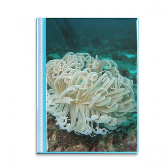 Ocean Green Jellyfish Science Nature Book Sheet Protectors Portfolio Binder Folder