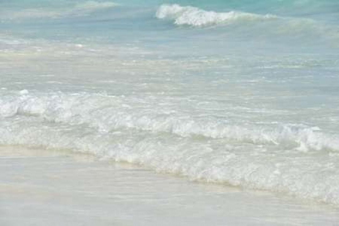 Ocean II Canvas Art - Ramona Murdock (24 x 36)