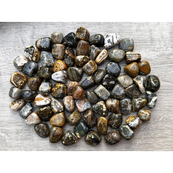 Ocean Jasper Tumbled Stones, Polished Natural Sea Jasper Gemstone, Ocean Jasper Healing Crystals (Ocean Jasper, 0.5 Pound)