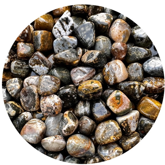 Ocean Jasper Tumbled Stones, Polished Natural Sea Jasper Gemstone, Ocean Jasper Healing Crystals (Ocean Jasper, 3 Pound)