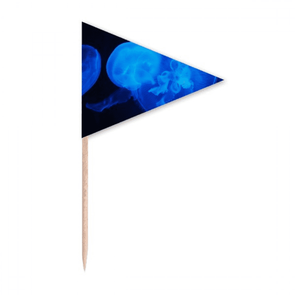 Ocean Jellyfish Science Nature Picture Toothpick Triangle Cupcake Toppers Flag