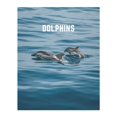 thumbnail image 1 of Ocean Life Book Dolphins: A Decorative Book &amp;#9474; Perfect for Stacking on Coffee Tables &amp; Bookshelves &amp;#9474; Customized I, Book 3, (Paperback), 1 of 1