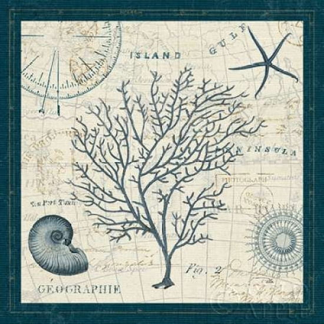 Ocean Life IV Canvas Art - Pela ERR (24 x 24)