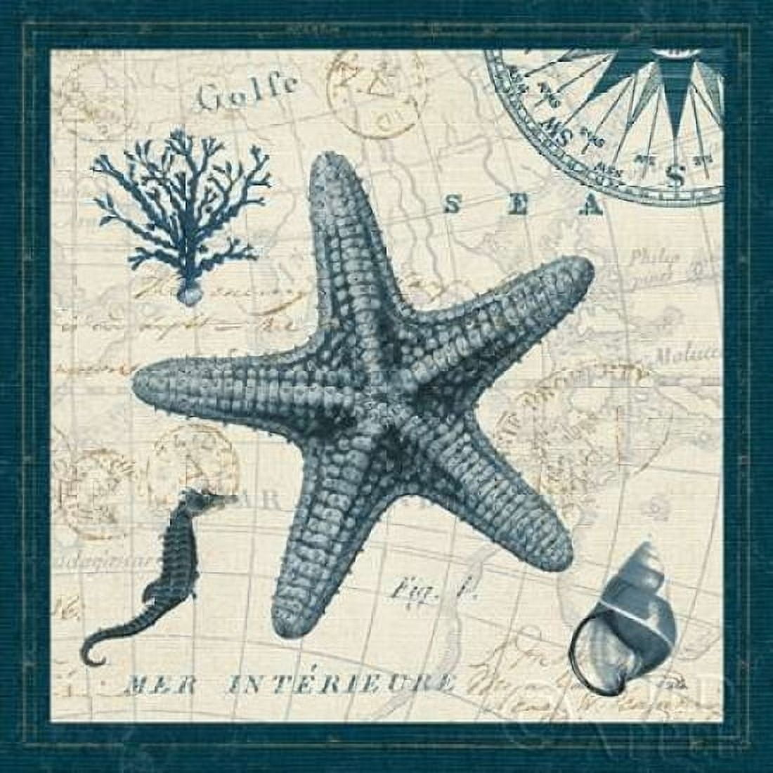 Ocean Life V Canvas Art - Pela ERR (24 x 24)