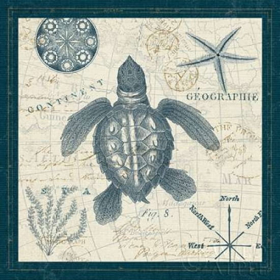 Ocean Life VI Canvas Art - Pela ERR (24 x 24)