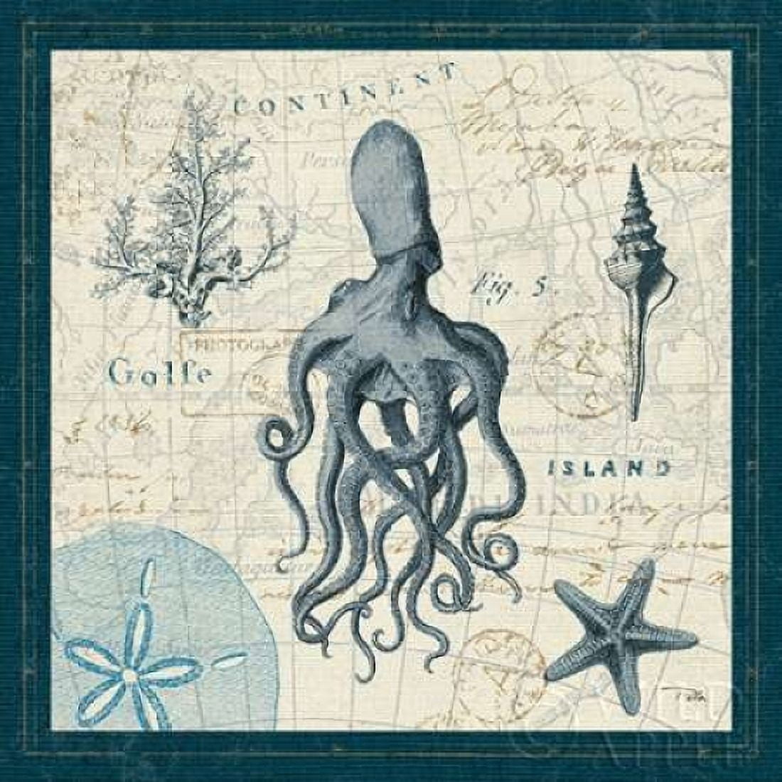 Ocean Life VII Canvas Art - Pela ERR (24 x 24)