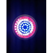 Ocean Mist QL-72CRBW 72 LED Color Underwater Spotlight, Red Blue White