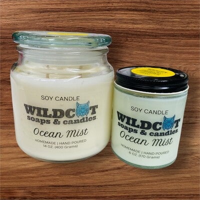 Ocean Mist Scented Candles (6Ounces)