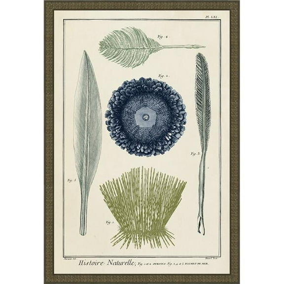 Ocean Oddity II - Brown - 23.75 x 16.25 in.