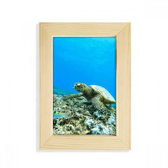 Ocean Sea Turtle Fish Science Nature Picture Desktop Display Photo Frame Picture Art Painting 5x7 inch