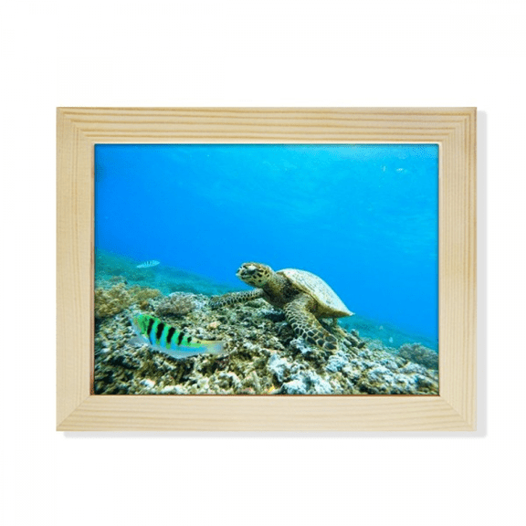 Ocean Sea Turtle Fish Science Nature Picture Desktop Photo Frame Picture Art Decoration Painting 6x8 inch