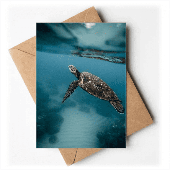 Ocean Sea Turtle Science Nature Greeting Cards You are Invited Invitations
