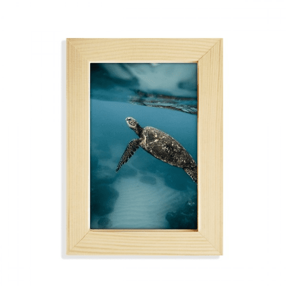 Ocean Sea Turtle Science Nature Picture Desktop Display Photo Frame Picture Art Painting 5x7 inch