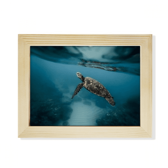 Ocean Sea Turtle Science Nature Picture Desktop Photo Frame Picture Art Decoration Painting 6x8 inch