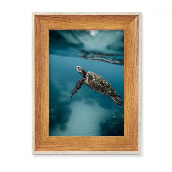 Ocean Sea Turtle Science Nature Picture Desktop Wooden Photo Frame Display Picture Art Painting Multiple Sets