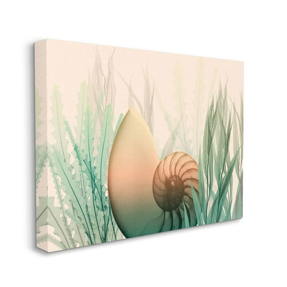 Ocean Seashell Seaweed Collage Design Canvas Wall 40 in x 30 in Painting Canvas Art Print, by Stupell Home Décor