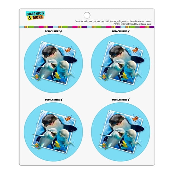 Ocean Selfie Picture Orca Killer Whale Dolphins Refrigerator Fridge Locker Vinyl Circle Magnet Set