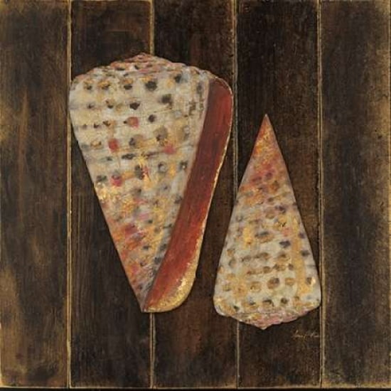Ocean Shells Canvas Art - Arnie Fisk (24 x 24)