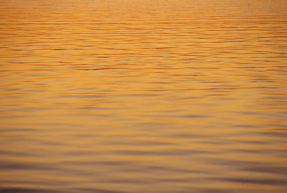 Ocean Shimmering Surface With Sunset Reflections Beautiful Orange Color Canvas Art - Mary Van de Ven Design Pics (17 x 11)