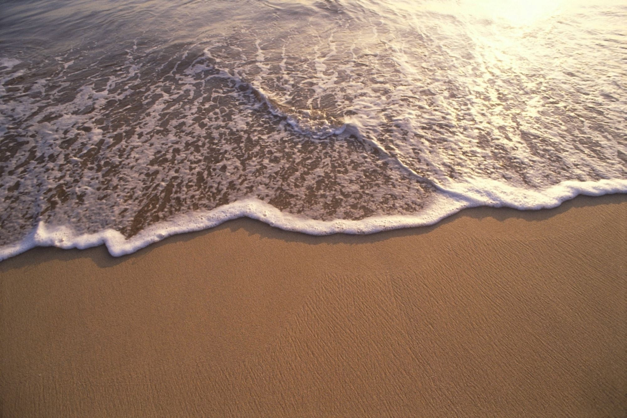 Ocean Shoreline Water On The Sand Texture And Motion Sunset Reflections A32C Canvas Art - Chris Abraham Design Pics (38 x 24)