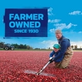 Ocean Spray Craisins, Original Dried Cranberries, 48 oz.