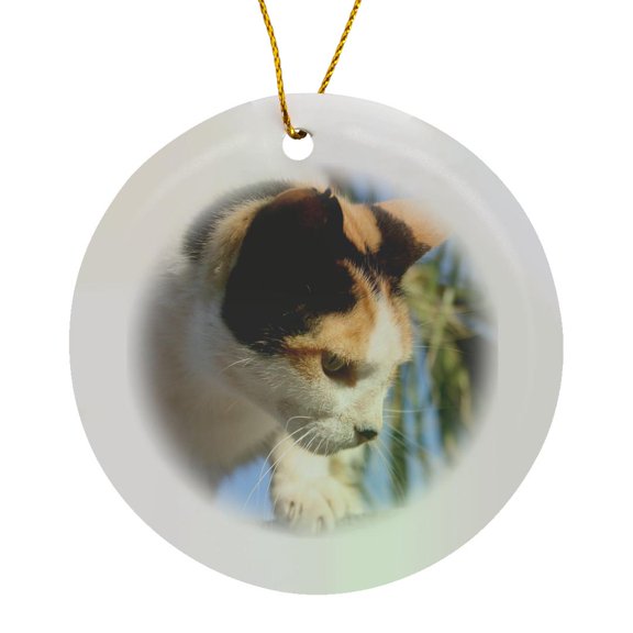 3drose, Ocean Sunset from a Mountaintop Landscape Art, Circle Porcelain Ornament