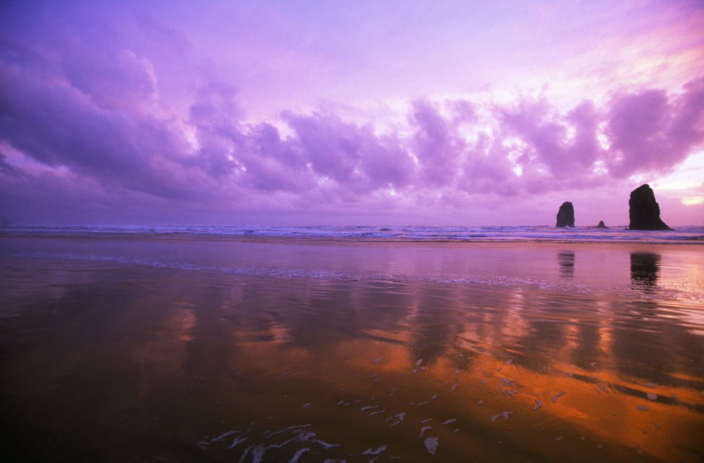 Ocean Sunset Needle Rocks Cannon Beach Canvas Art - Natural Selection Craig Tuttle Design Pics (18 x 12)