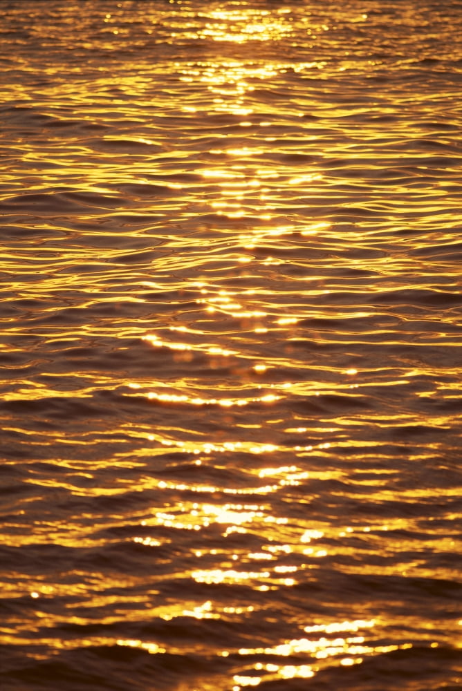 Ocean Texture Ripples At Sunset Golden Yellow Waters B1447 Canvas Art - Carl Shaneff Design Pics (12 x 19)