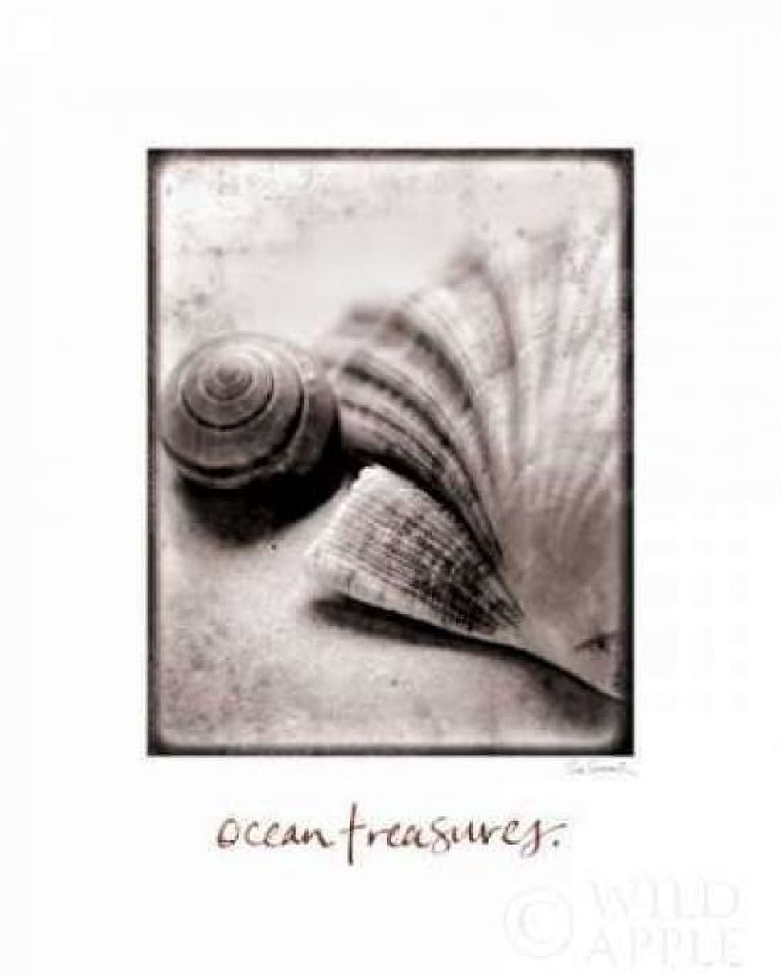 Ocean Treasures Canvas Art - Sue Schlabach (20 x 24)