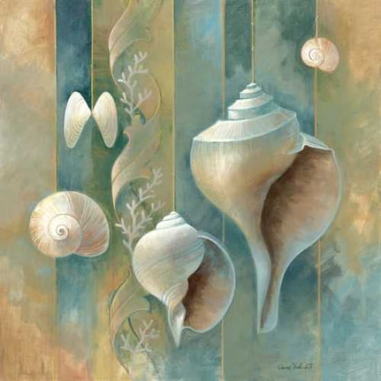 Ocean Treasures II Canvas Art - Elaine Vollherbst-Lane (24 x 24)