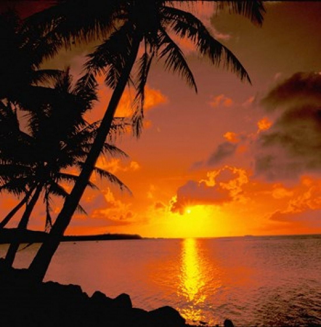 Ocean View at Sunset Australia Canvas Art - Bill Bachmann DanitaDelimont (22 x 22)