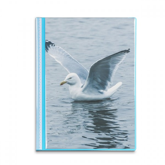 Ocean Water Sea Bird Science Nature Picture Book Sheet Protectors Portfolio Binder Folder