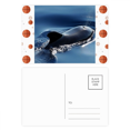 thumbnail image 1 of Ocean Water Sea Whale Science Nature Picture Basketball Postcard Set Thanks Card Mailing Side 20pcs, 1 of 3