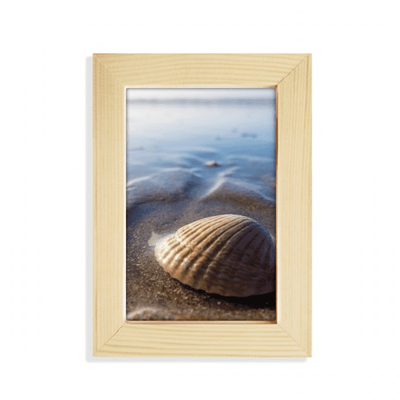 Ocean Water Shell Science Nature Picture Desktop Display Photo Frame Picture Art Painting 5x7 inch