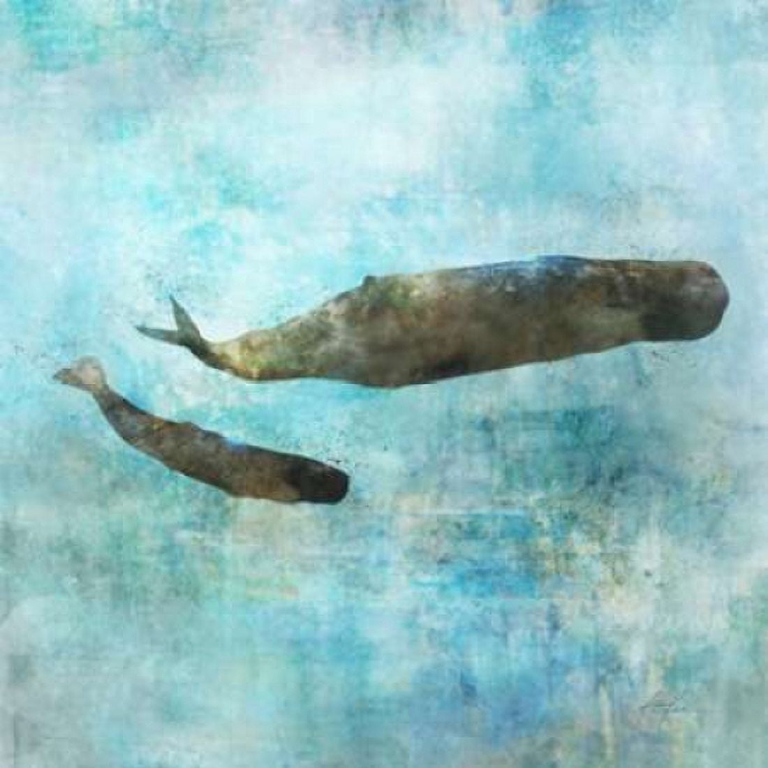Ocean Whale 2 Canvas Art - Ken Roko (24 x 24)