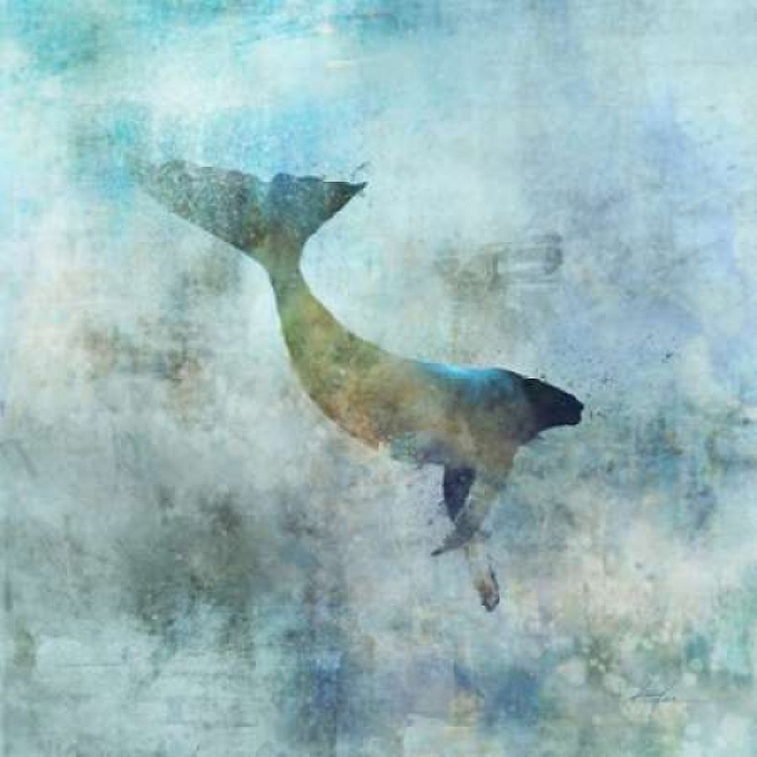 Ocean Whale 3 Canvas Art - Ken Roko (24 x 24)