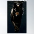 thumbnail image 1 of Ocean Wolf 4 Poster Wall Art, Modern Wall Decor For Living Room Bedroom, 24x36 UNFRAMED, 1 of 3