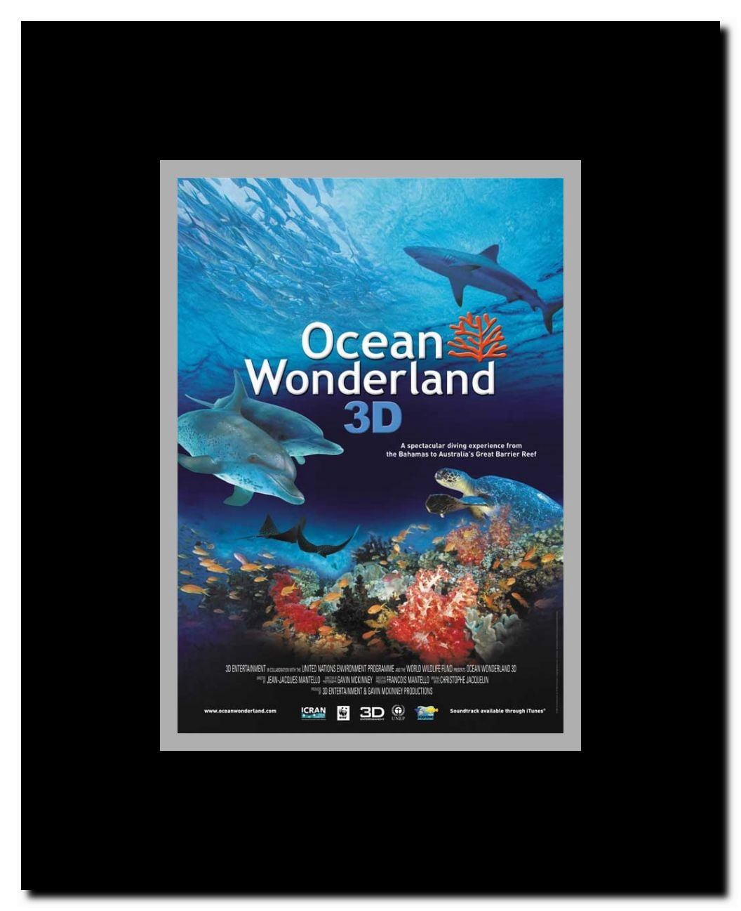 Ocean Wonderland Framed Movie Poster
