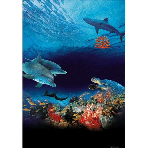 Ocean Wonderland Mini Poster 11inx17in Whales Dolphins in Mail/storage/gift tube 11x17 poster