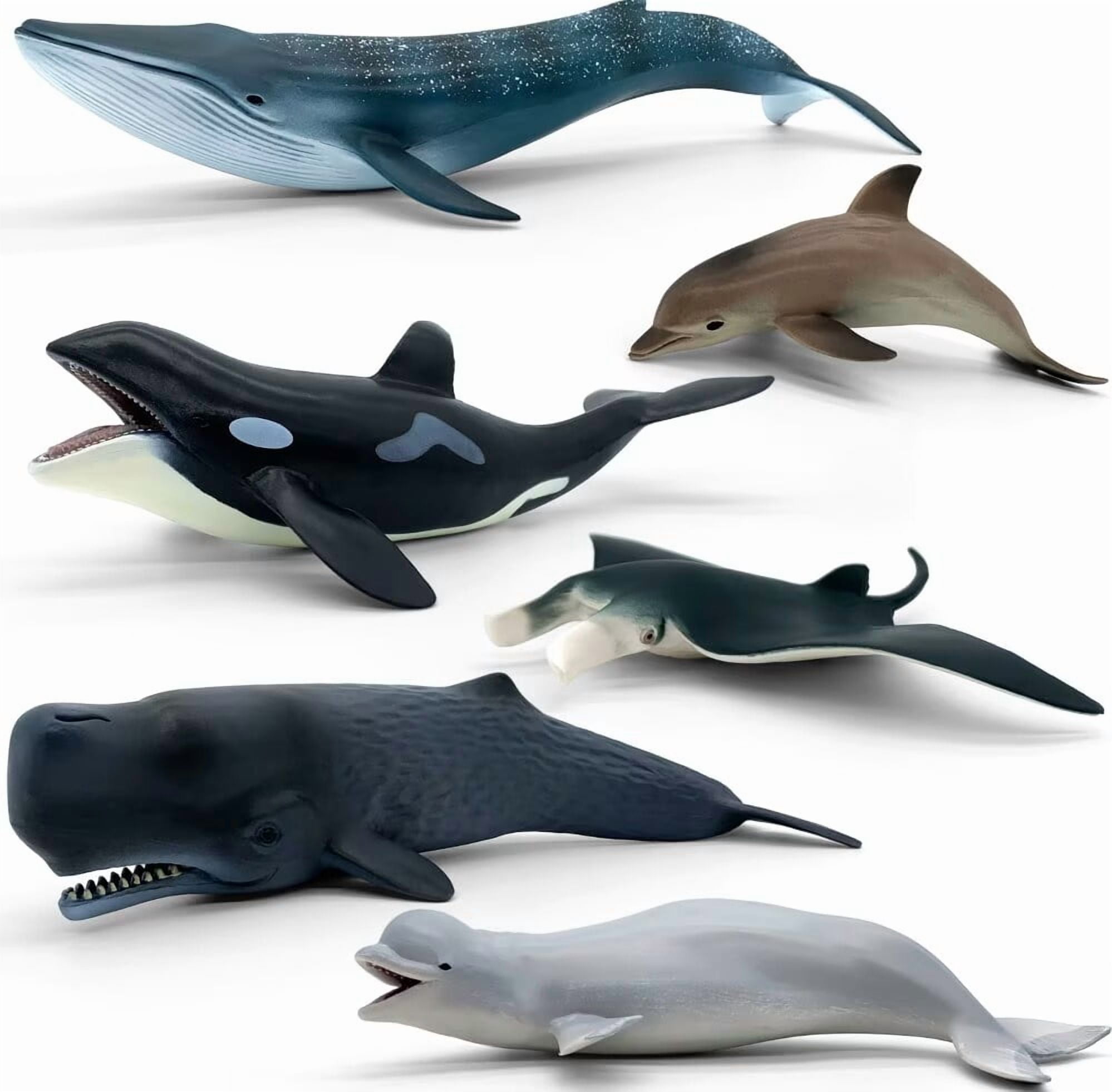 Ocean Wonders 6-Piece Whale & Marine Life Set - Blue Whale, Beluga, Sperm Whale, Killer Whale, Manta Ray, Dolphin - Educational Bath & Play Toy