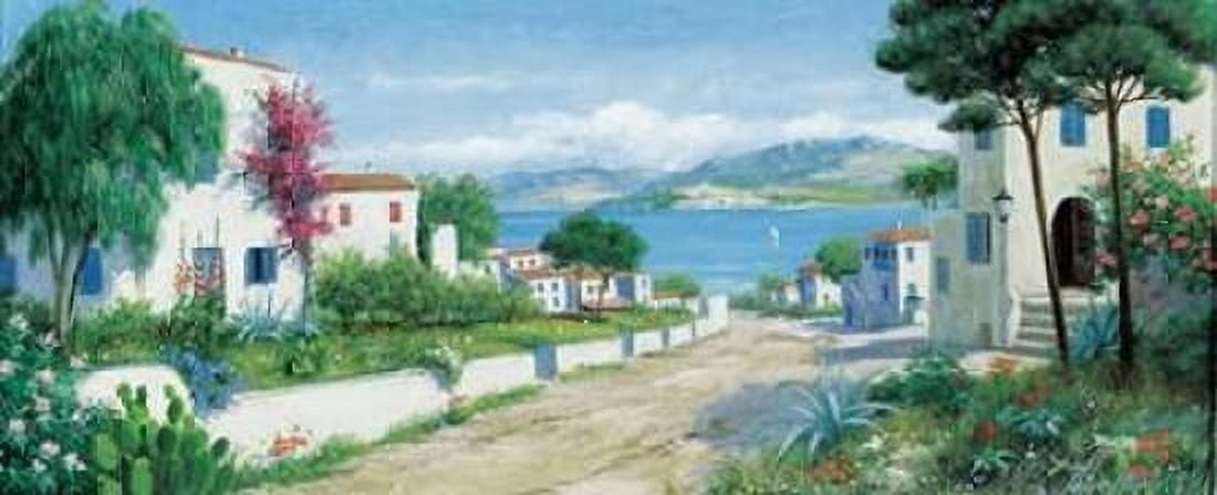 Ocean path Canvas Art - Peter Motz (10 x 20)