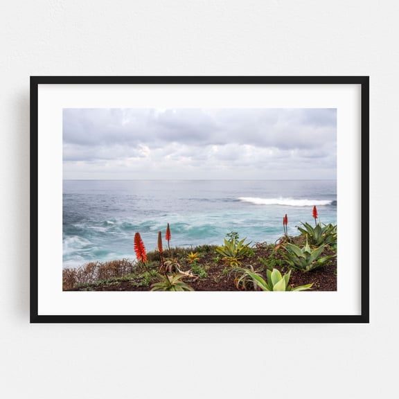 Ocean's Edge Serenity - San Diego California Photography Ocean Coast Seascape Waves Nature Coastal Botanical Black Framed Wall Art Print 5 x 7 inches