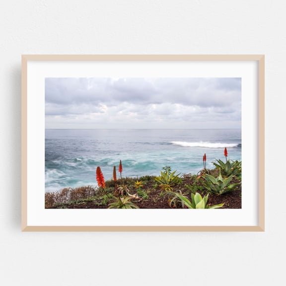 Ocean's Edge Serenity - San Diego California Photography Ocean Coast Seascape Waves Nature Coastal Botanical Oak Framed Wall Art Print 5 x 7 inches