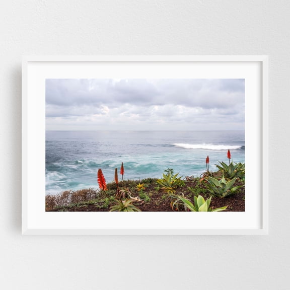 Ocean's Edge Serenity - San Diego California Photography Ocean Coast Seascape Waves Nature Coastal Botanical White Framed Wall Art Print 5 x 7 inches