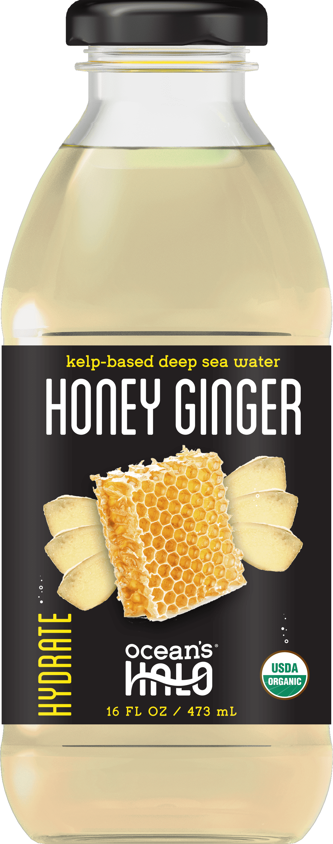 Ocean's Halo, Organic Deep Sea Water, Honey Ginger, 16oz
